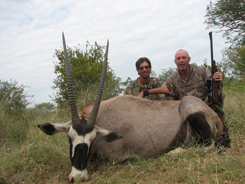 Gemsbok